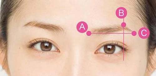 标准眉型.jpg