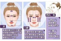 调整发际线要多少钱？