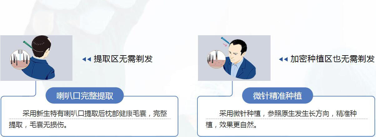 nocut귢.jpg